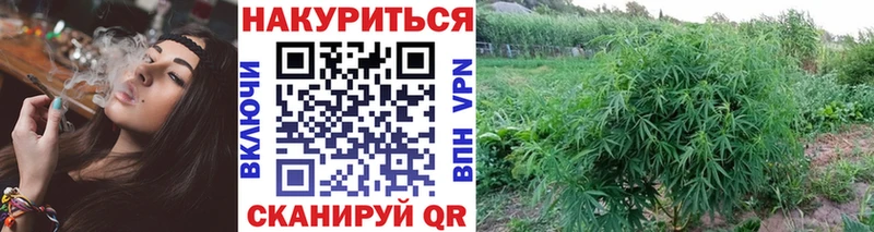 Бошки марихуана семена  Купить закладки  Абдулино 